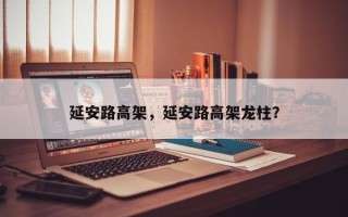 延安路高架，延安路高架龙柱？