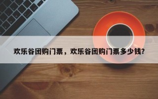 欢乐谷团购门票，欢乐谷团购门票多少钱？